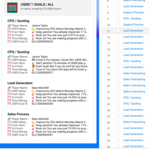 Salesforce Gamification